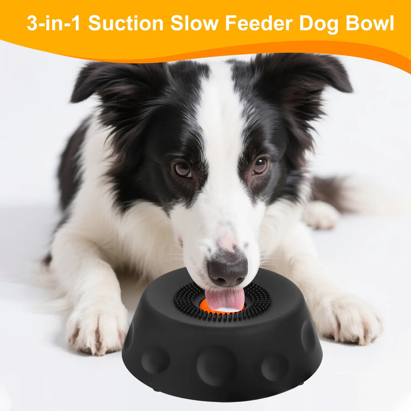 Pet feeding accessories and slow feeder tools